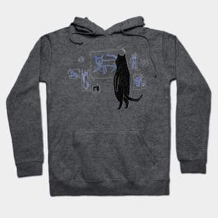 Cat gallery Hoodie